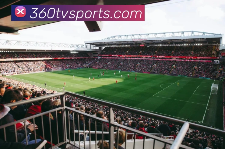 多媒体互动体验